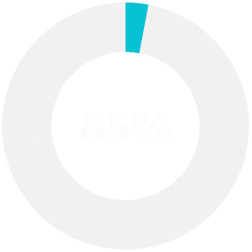 85% circle graph